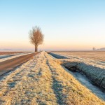 Winterarrangement