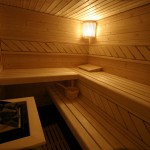 Finse sauna